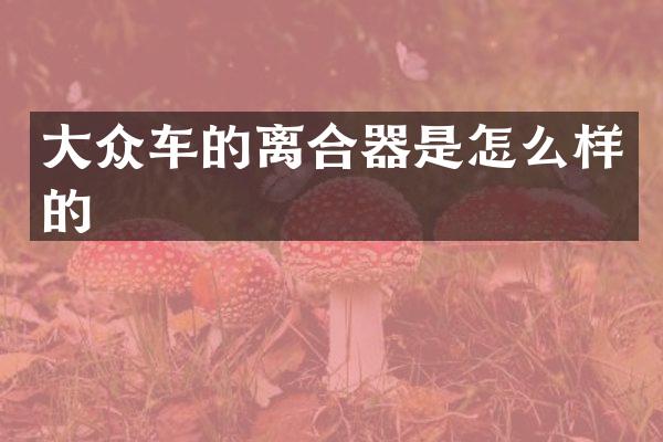 大众车的离合器是怎么样的