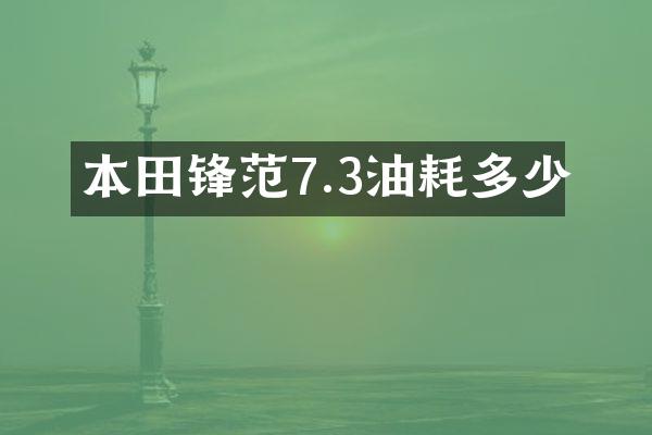 本田锋范7.3油耗多少