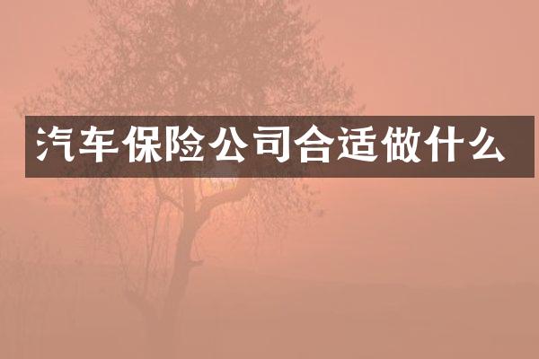 汽车保险公司合适做什么