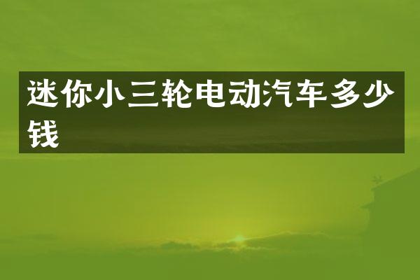 迷你小三轮电动汽车多少钱