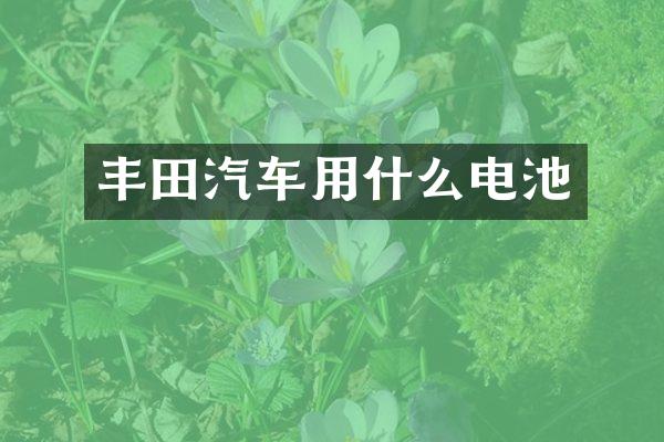 丰田汽车用什么电池