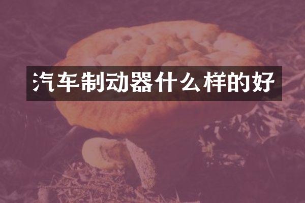 汽车制动器什么样的好