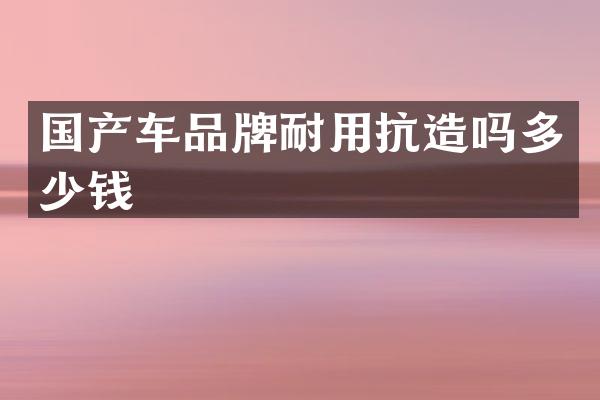 国产车品牌耐用抗造吗多少钱