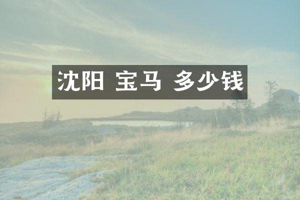 沈阳 宝马 多少钱