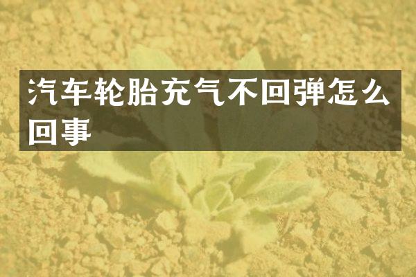 汽车轮胎充气不回弹怎么回事