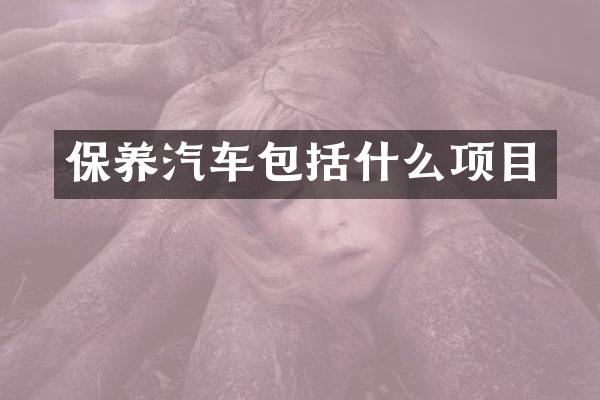 保养汽车包括什么项目