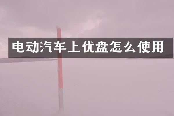 电动汽车上优盘怎么使用