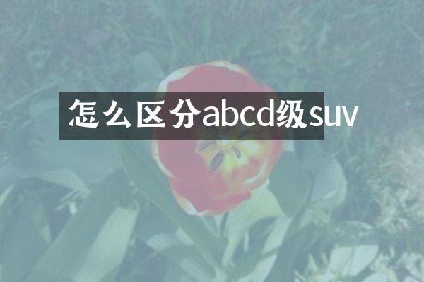 怎么区分abcd级suv