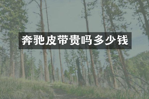 奔驰皮带贵吗多少钱