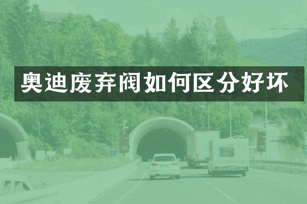 奥迪废弃阀如何区分好坏
