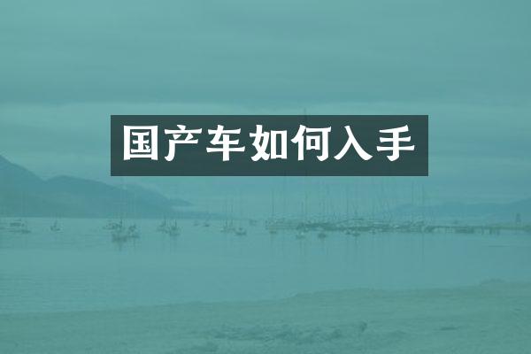 国产车如何入手