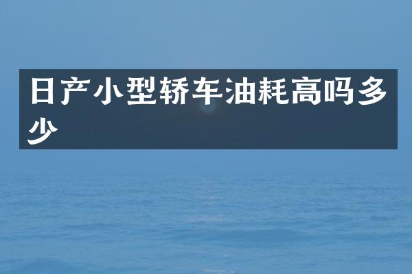 日产小型轿车油耗高吗多少