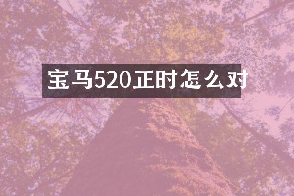 宝马520正时怎么对