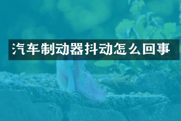 汽车制动器抖动怎么回事
