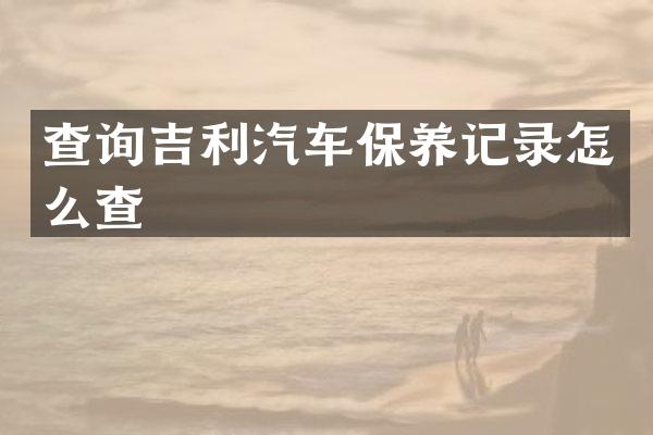 查询吉利汽车保养记录怎么查