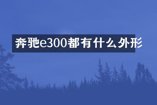 奔驰e300都有什么外形