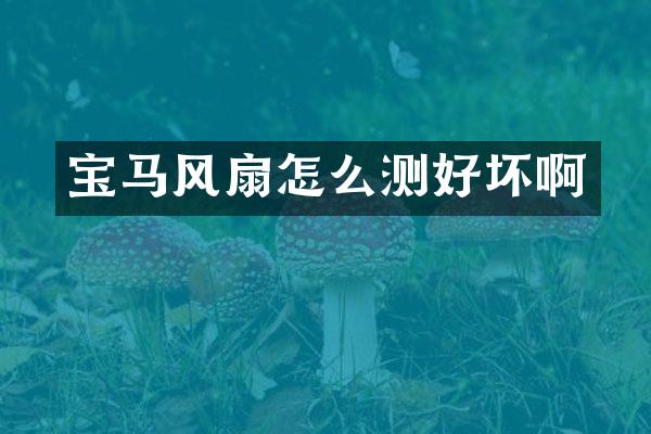 宝马风扇怎么测好坏啊