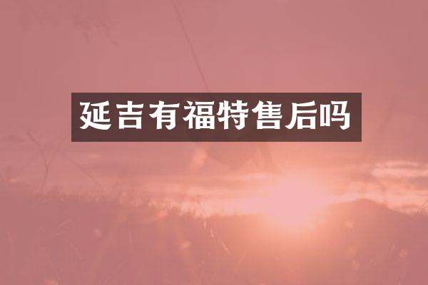 延吉有福特售后吗