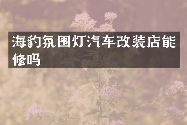 海豹氛围灯汽车改装店能修吗