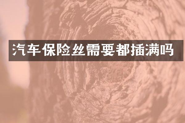 汽车保险丝需要都插满吗