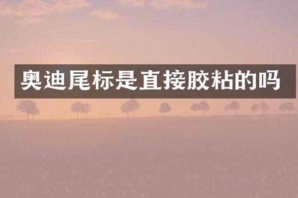 奥迪尾标是直接胶粘的吗