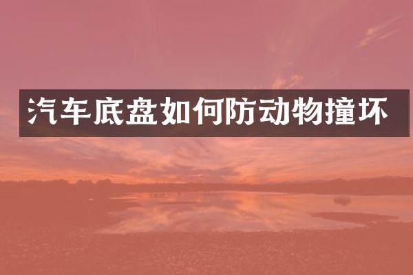 汽车底盘如何防动物撞坏