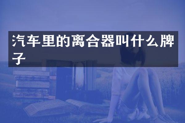 汽车里的离合器叫什么牌子