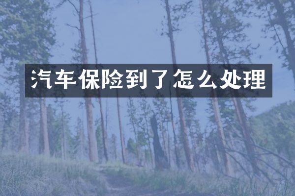 汽车保险到了怎么处理