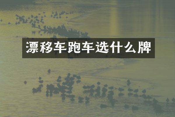 漂移车跑车选什么牌