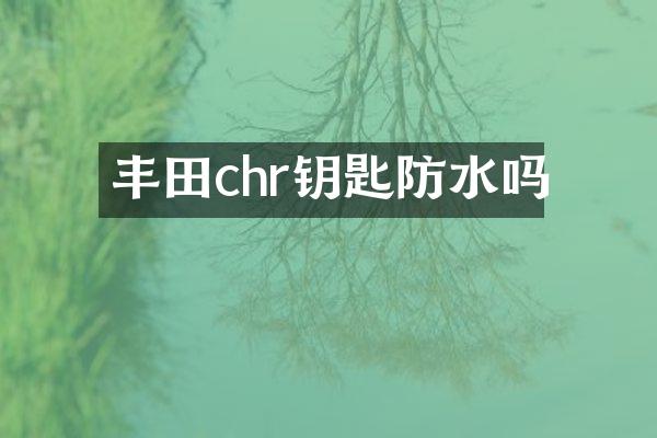 丰田chr钥匙防水吗