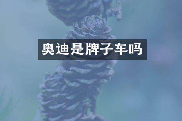 奥迪是牌子车吗