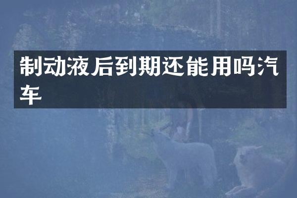 制动液后到期还能用吗汽车