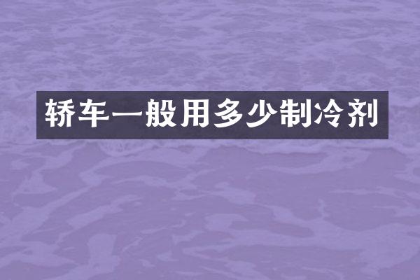 轿车一般用多少制冷剂