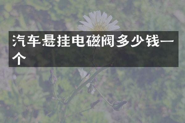 汽车悬挂电磁阀多少钱一个