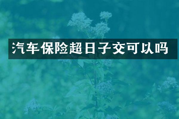 汽车保险超日子交可以吗