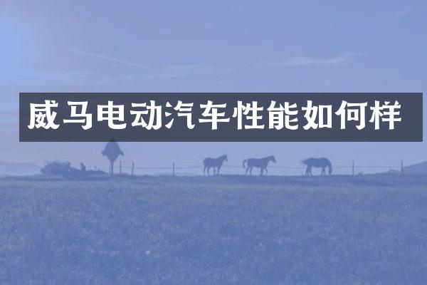 威马电动汽车性能如何样