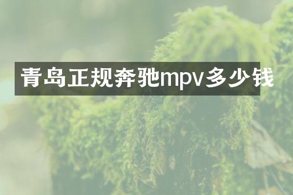 青岛正规奔驰mpv多少钱