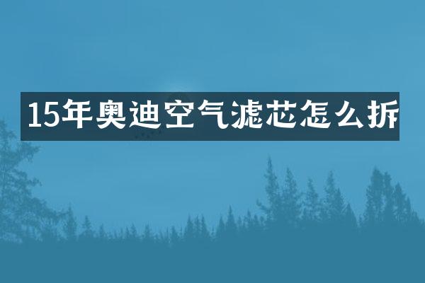 15年奥迪空气滤芯怎么拆