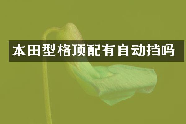本田型格顶配有自动挡吗