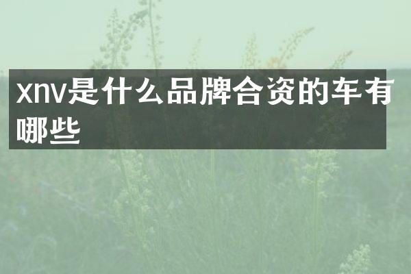 xnv是什么品牌合资的车有哪些