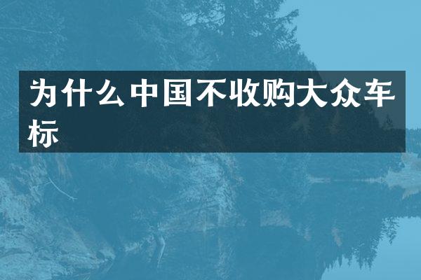 为什么中国不收购大众车标