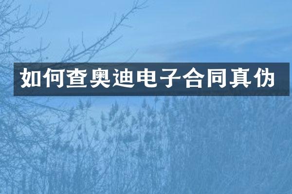 如何查奥迪电子合同真伪