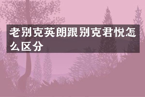 老别克英朗跟别克君悦怎么区分