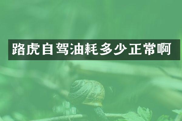路虎自驾油耗多少正常啊