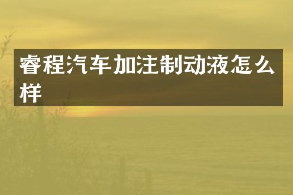 睿程汽车加注制动液怎么样