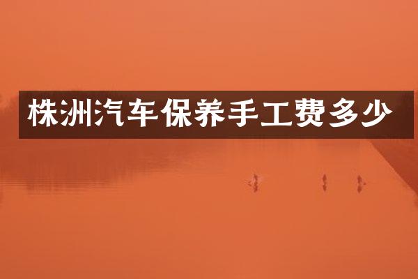 株洲汽车保养手工费多少