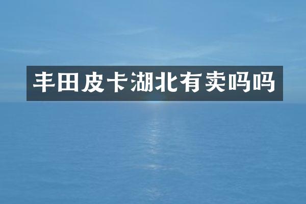 丰田皮卡湖北有卖吗吗