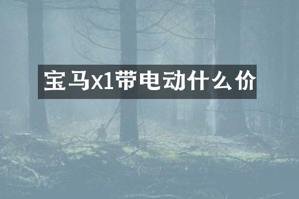 宝马x1带电动什么价