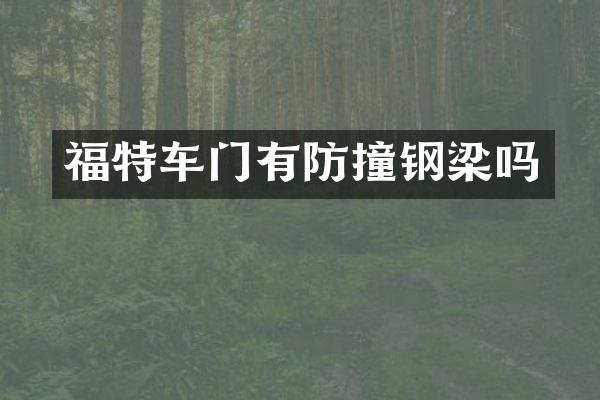 福特车门有防撞钢梁吗