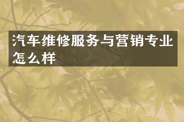 汽车维修服务与营销专业怎么样